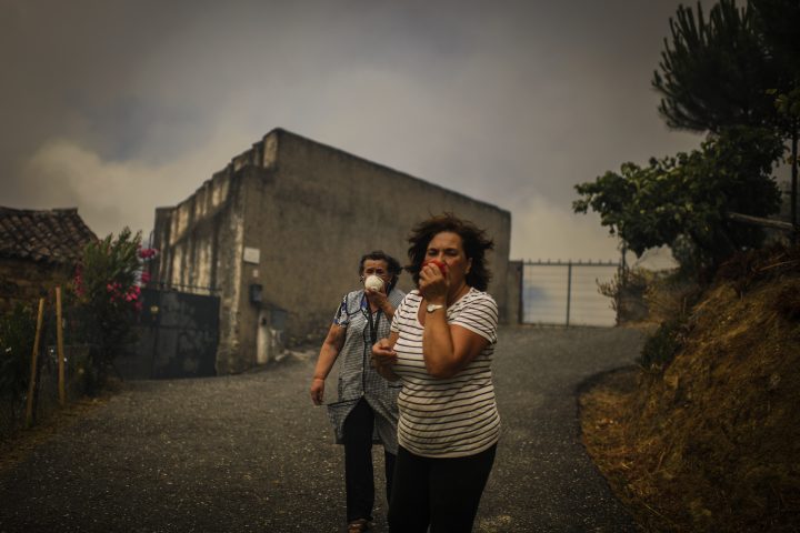 Patricia Melo Moreira-04